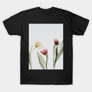 Tulips, Plant, Flowers, Nature print T-Shirt